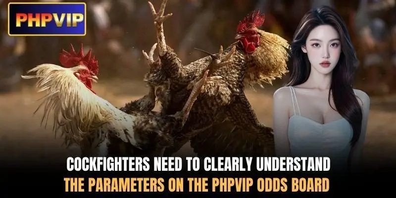 Cockfighters need to clearly understand the parameters on the PHPVIP odds board Cockfighters need to clearly understand the parameters on the PHPVIP odds board