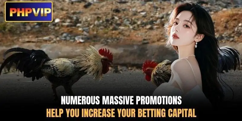 Numerous massive promotions help you increase your betting capital Numerous massive promotions help you increase your betting capital