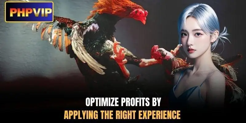 Optimize profits by applying the right experience Optimize profits by applying the right experience