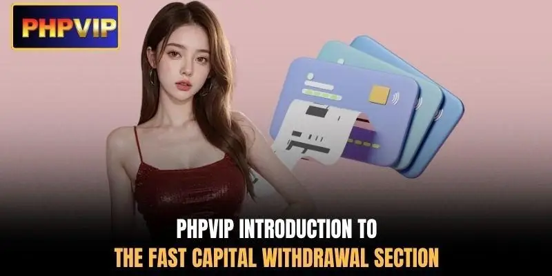 PHPVIP introduction to the fast capital withdrawal section PHPVIP introduction to the fast capital withdrawal section