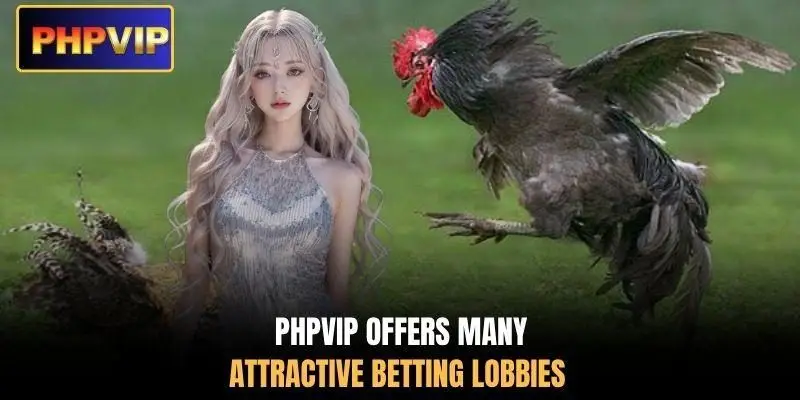 PHPVIP offers many attractive betting lobbies PHPVIP offers many attractive betting lobbies